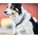 Non-Stop Dogwear Cruise Collar Hundehalsbånd Medium Svart