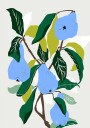 Blue Pears Plakat Plakat / 70x100cm