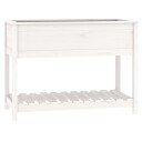 vidaXL Plantekasse med hylle hvit 111,5x54x81 cm heltre furu