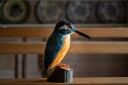 Wildlife Garden DecoBirds Håndskåret Fugl Isfugl