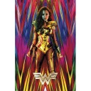 Wonder Woman Plakat - 91,5 x 61 cm