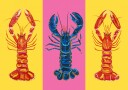 Lobster Langoustines Pop Art 2 Plakat / 50x70