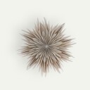 watt & VEKE   Papirstjerne Maja 50   Beige