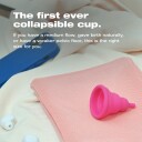 Intimina Lily Cup