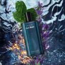 Davidoff Cool Water Man Eau de Toilette 125ml - Frisk Duft for Herre