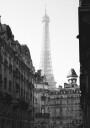 Eiffel Tower Paris Black & White Plakat Plakat / 50x70cm