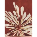 Brunello Cucinelli Dame Accessories Rød ONE SIZE,