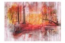Fototapet Autumnal Forest 400x280 - Finnes i flere størrelser