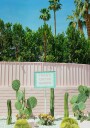 Pink Palm Springs IV Plakat Plakat / 21x30cm