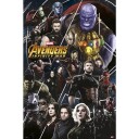 The Avengers Infinity War Plakat Lineup - 91,5 x 61 cm