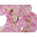 Europalms Orchid Arrangement Eva, Purple