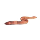Wiggler Meitemark, str. Stor