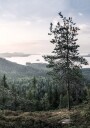 Nordic Forest and Lake View Plakat Plakat / 21x30cm