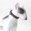Halsbånd hund  Polstret Hundehalsband  grønn/svart