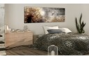 Bilde Dandelion On Concrete 135x45 Artgeist sp. z o. o.