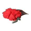 Dolce & Gabbana, Dame, Accessories, Rød, ONE SIZE,