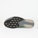 Joggesko adidas Adizero Evo SL Grey/ Screaming Green/ Carbon EUR 47 1/3