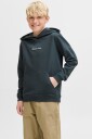 Jack & Jones Junior Hettegenser jorNorrebro Emb Sweat Hood Grå