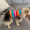Rainbow Genser Singlet Til Hund Og Katt