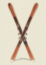 Wooden Skis Plakat Plakat / 21x30cm