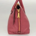 Miu Miu Dame Rosa
