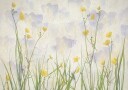 Crocuses bloom Plakat Plakat / 30x40cm
