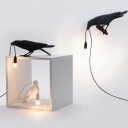Bird Lamp Looking Svart