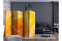 Romdeler - Yellow rose II 225x172 - Artgeist sp. z o. o.