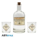 Harry Potter Glass og Karaffel 2-pk