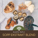 Sopp ekstrakt blend 10:1   7 forskjellige sopper   300g