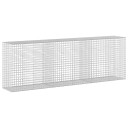 vidaXL Gabion med 3,5 mm Tråd og 5x5 cm Nett 300x50x100 cm