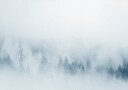 Misty Pines Plakat Plakat / 30x40cm