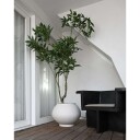 101 Copenhagen   Sunao Plantepotte Fat Hexa Birch   Lampemesteren