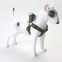Step-in sele til hund