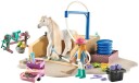 Playmobil - Washing Station with Isabella and Lioness