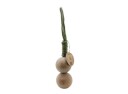 Y&y Balls Wood