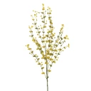 Europalms Eucalyptus spray yellow green 110cm