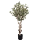 Mr Plant Oliventre 120 cm
