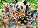 Ravensburger Wildlife Selfie 300p