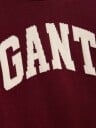 Gant Kids Intarsia Crew Neck Sweater   Burgundy   164