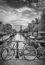 Typical AmsterdaMonochrome Plakat Plakat / 40x50cm