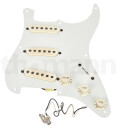 Seymour Duncan Antiquity Texas Hot St PG AW