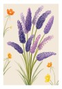 Lavender Dreams Plakat Plakat / 40x50cm