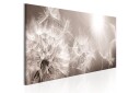 Bilde Summer Dandelions 150x50 Artgeist sp. z o. o.