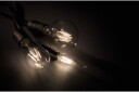 Trio Lighting LK LED E27 filament globe 6W 600lm 3000K -