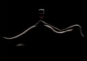 Bodyscape: Wine Tasting Poster Plakat / 70x100cm