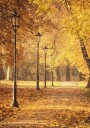 Golden Autumn Park Path Plakat Plakat / 40x50cm