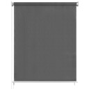 vidaXL Utendørs rullegardin 60x230 cm antrasitt