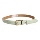 Dolce & Gabbana Dame Accessories Grønn ONE SIZE,