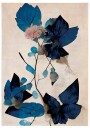 Blue Dry Flowers Plakat Plakat / 21x30cm